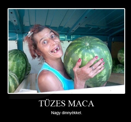 Egy ütős ajánlat hétfőre