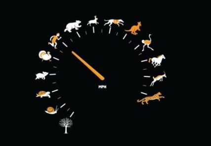 Műszerfal kiegészítés - szöszi edition