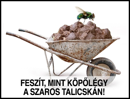 Amikor valaki a diszkóban erősnek érzi magát