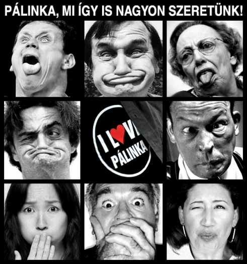 Pálinkás jó reggelt!