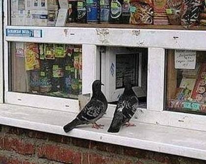 Üdv! A nemzeti magtárat keressük