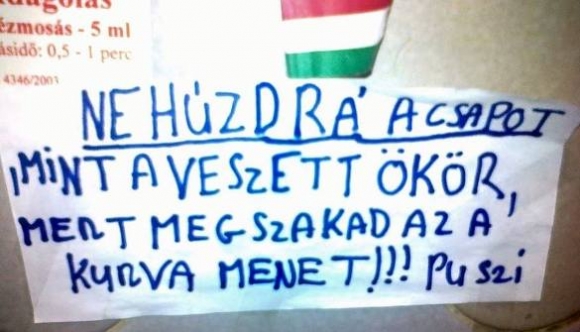 Megértetted kocsoog?