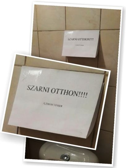 Vidd haza!