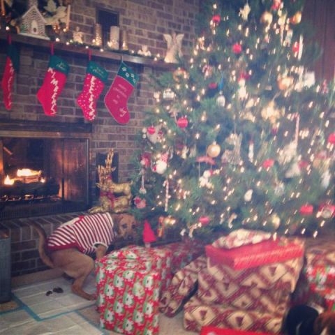 Blöki is leteszi az ajándékát :D