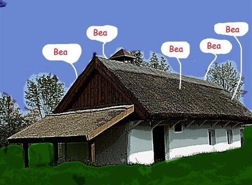 Szerdai agyzsibbasztó