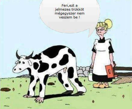 Próbálkozik az öreg :P