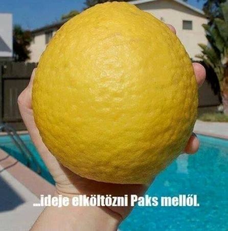 Ha az élet ilyen citromot vág hozzád, akkor ...