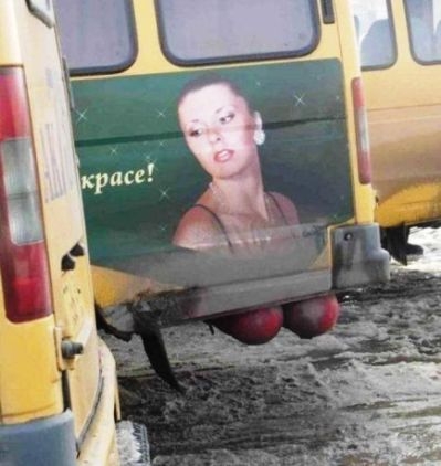 A villantsd a cickód kategória utolsó helyezettje