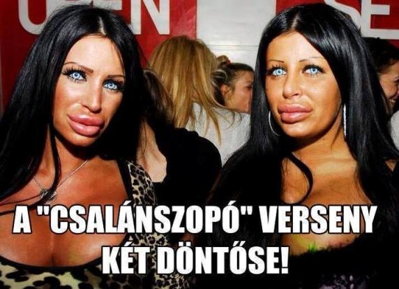 A hét vetélkedője