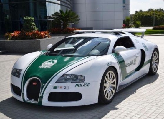 Új paripa érkezett a Dubai rendőrséghez