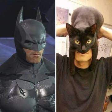 Batman vs. Catman