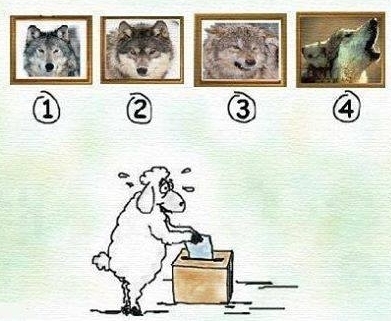 Ápr. 6. - Elérkezett a választás napja