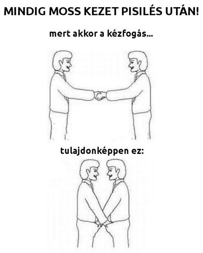 Napiszar - egészség rovat