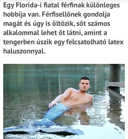 Napi sellő