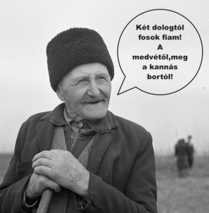 Egy mondás Áron bátyánktól