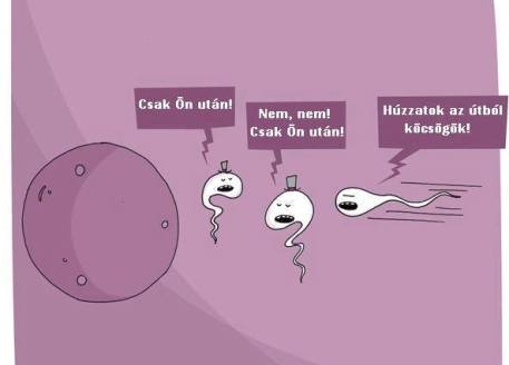 Így haltak ki az úriemberek