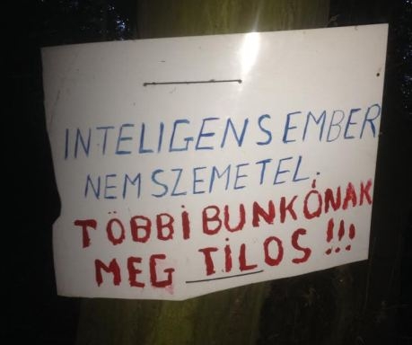 Éjszaka az erdőben