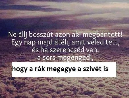 Szerdai bölcsesség