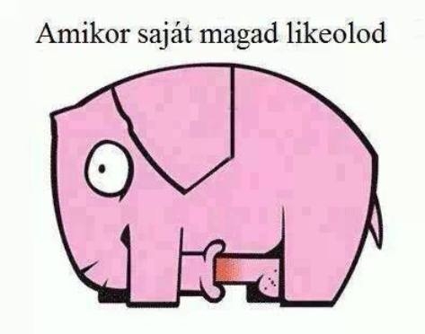 Eközben a fészen . . .