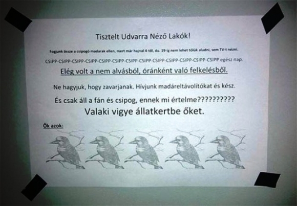 Csip csip csipcsirip 