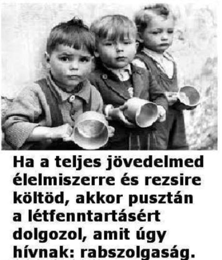 Napi tényfeltáró 🙁