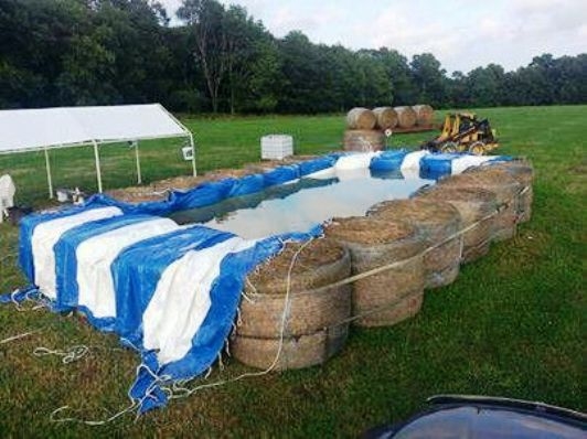 Napi kreatív - Bálából medence