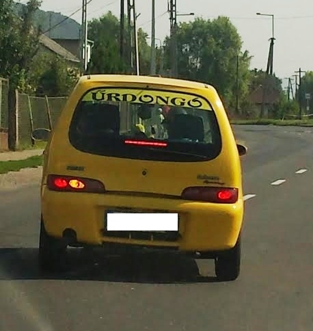 Űrdongó 