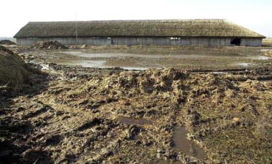 Debrecen - Virágillat és trágyaszag