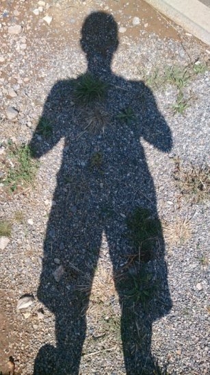 Ezt keresem - múlt héten tűnt el...