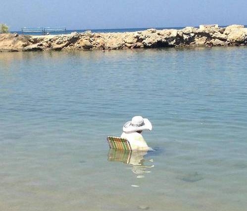 Nemrég még nyár volt 