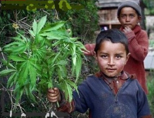 Szerdán Malvin napja lesz