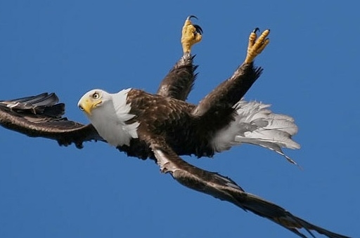 Az előbb olyan páleszt ittam a varjúnál, hogy...