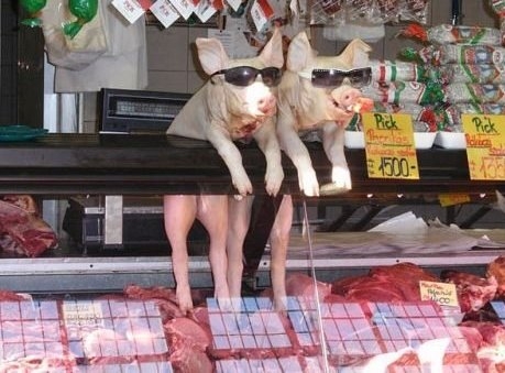 Felvettek hentesnek - hétfőn kezdek...