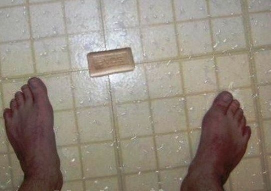 Eközben a sitten...