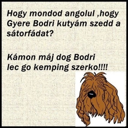 Angol szintfelmérő teszt