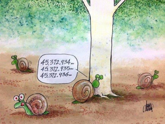 Ők így bújócskáznak