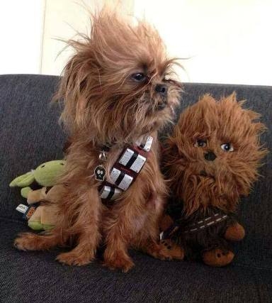 Han Solo-nak, válság idejére