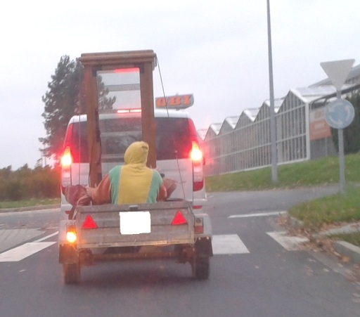 Nagykanizsán is vannak laza csókák