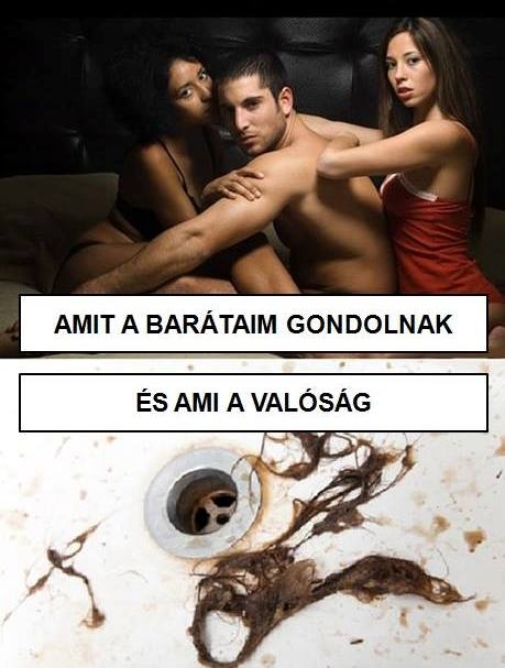 Két csajjal együtt élni . . .