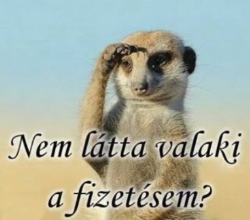 Közel a hó vége 🙁