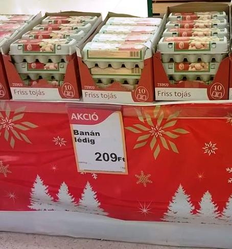 Eközben a fehérvári Tacskóban