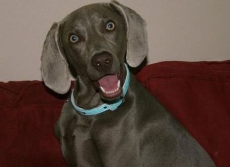 Hatoslottó nyerőszámok 😮