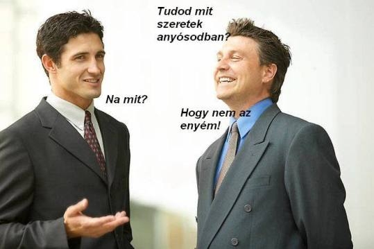 Napi tényfeltáró