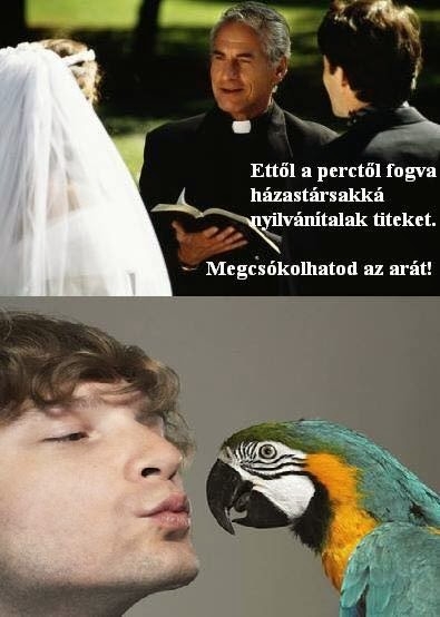 Vasárnapi pihentető