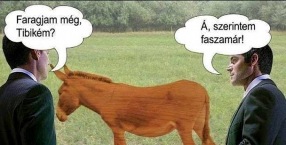 Hét eleji zsibbasztó