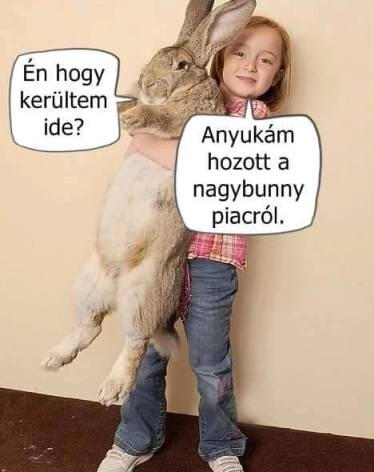 Vasárnapi fárasztó, délutáni szunyához