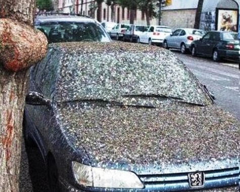 Vannak olyan napok, amik elég szarul szoktak indulni...