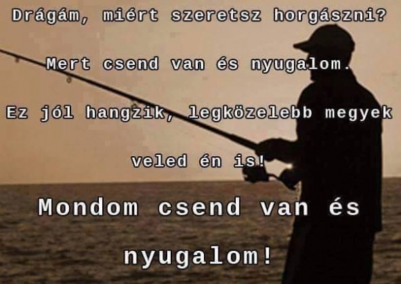 Napi tényfeltáró :P