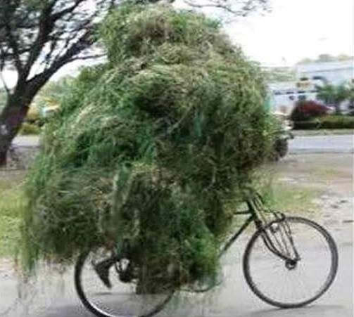 Balázs Pali bringázik