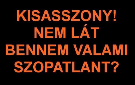 Napi csajozós